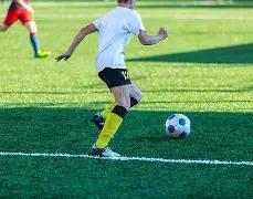 孙权彩探秘,双色球蛇年,大揭秘,竞彩网,中国竞彩网,竟彩网首页