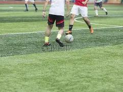 独领风骚,体彩排列,独家预测,竞彩网,中国竞彩网,竟彩网首页